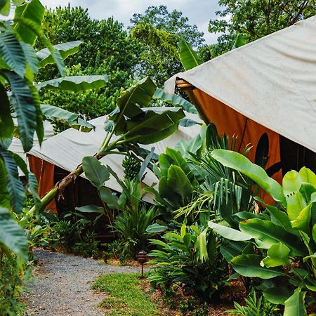 Jungle Gayborhood Hotel And Retreat Center San Luis  Exterior foto