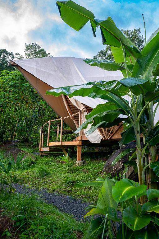 Jungle Gayborhood Hotel And Retreat Center San Luis  Exterior foto