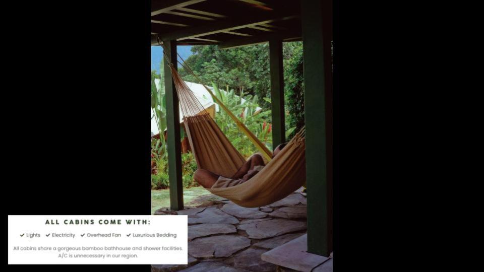 Jungle Gayborhood Hotel And Retreat Center San Luis  Exterior foto