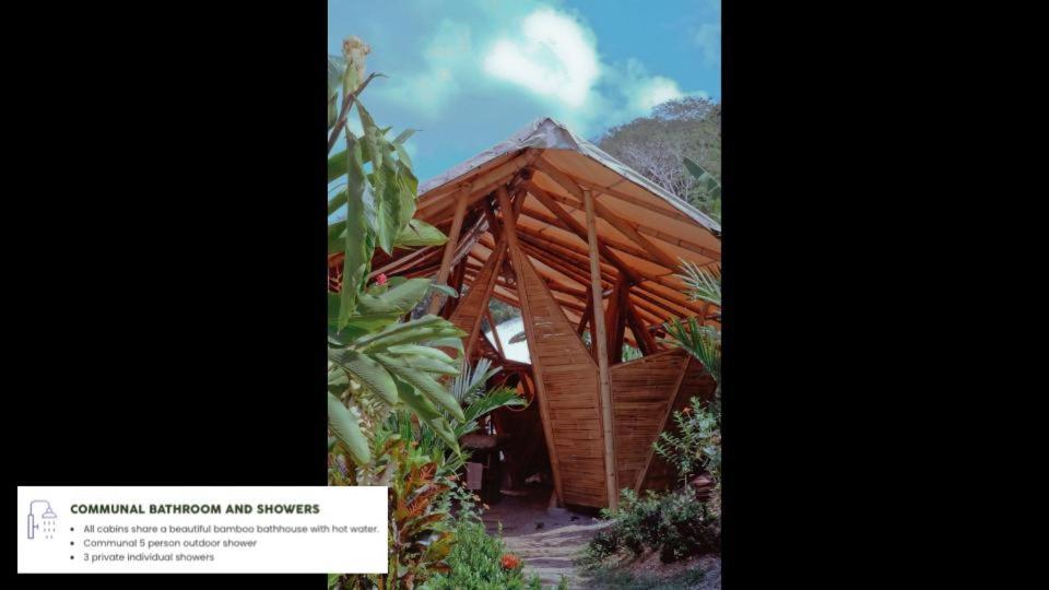 Jungle Gayborhood Hotel And Retreat Center San Luis  Exterior foto