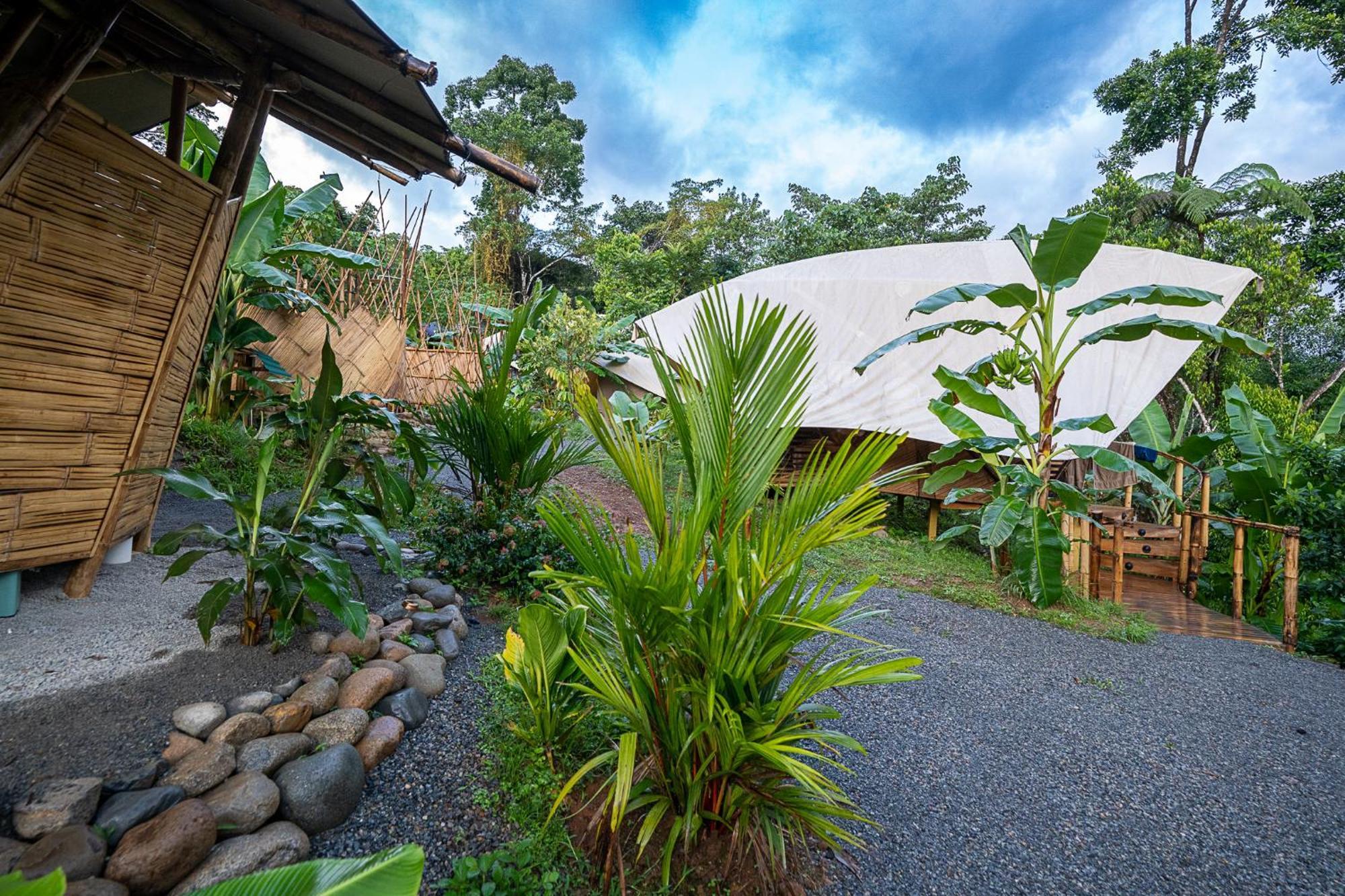 Jungle Gayborhood Hotel And Retreat Center San Luis  Exterior foto