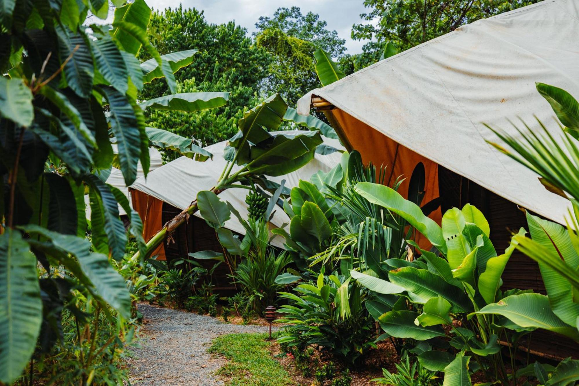 Jungle Gayborhood Hotel And Retreat Center San Luis  Exterior foto