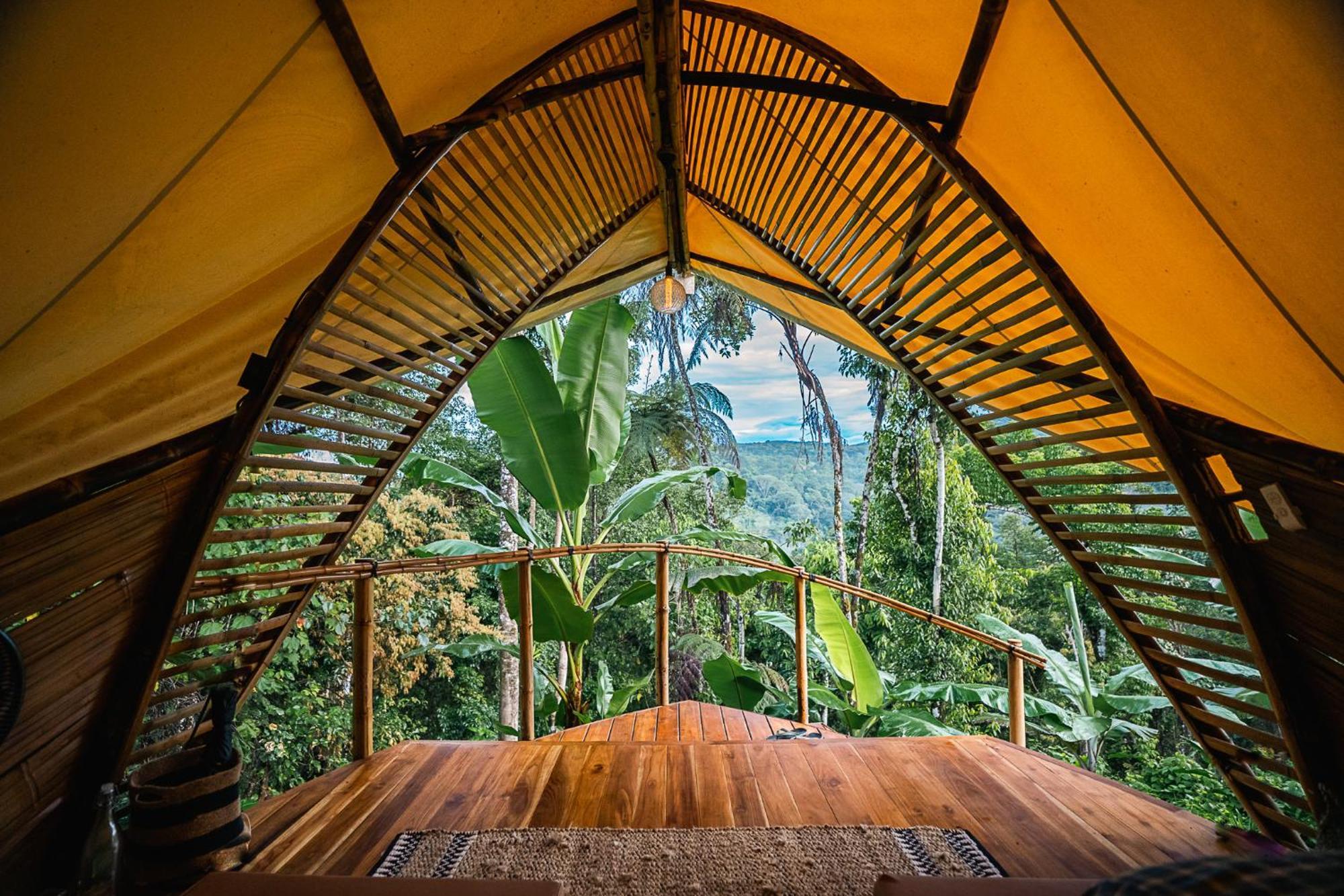 Jungle Gayborhood Hotel And Retreat Center San Luis  Exterior foto