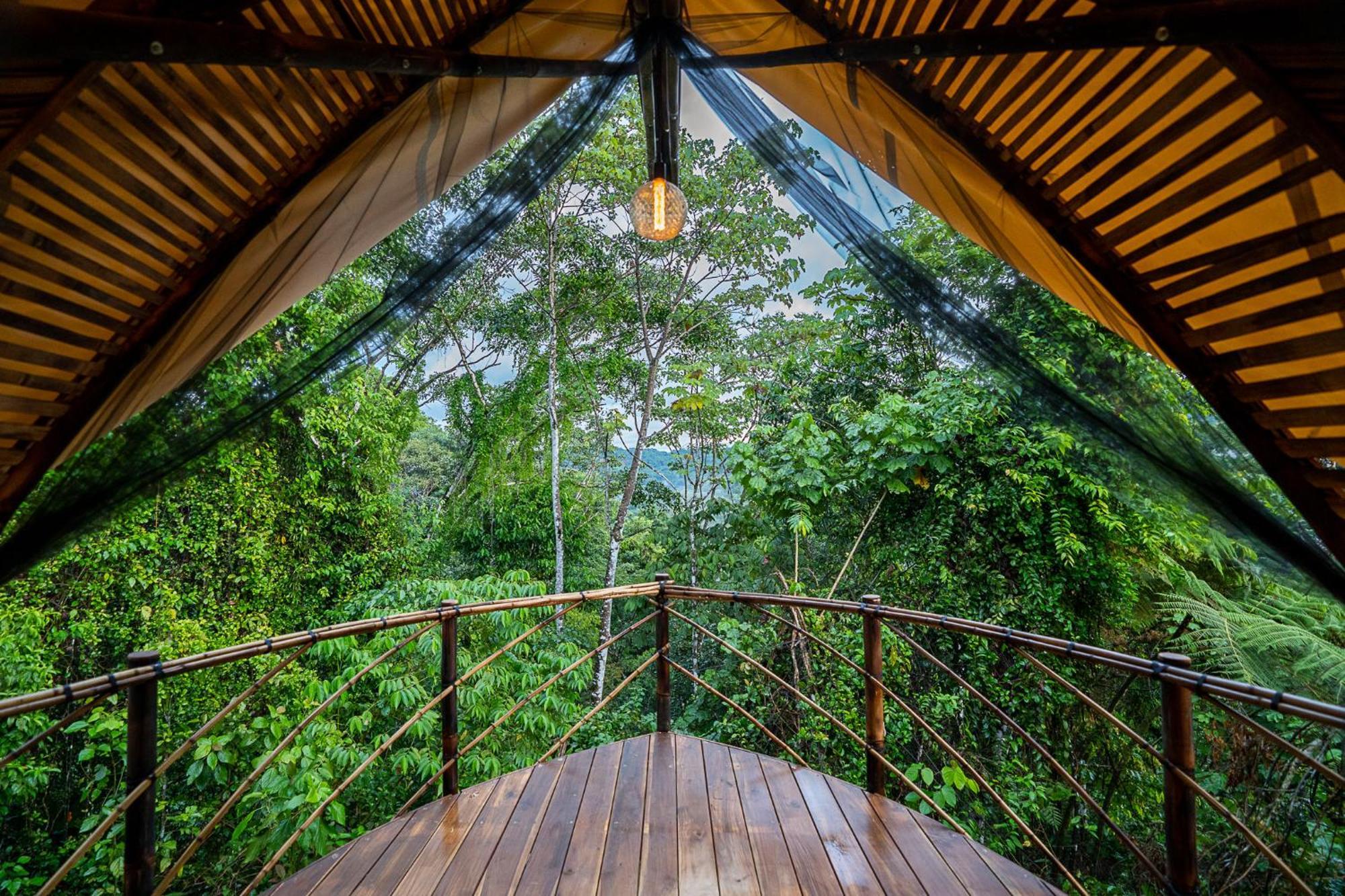 Jungle Gayborhood Hotel And Retreat Center San Luis  Exterior foto